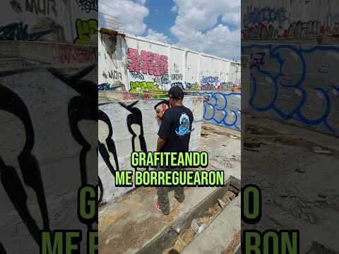 Me Borreguearon Grafiteando