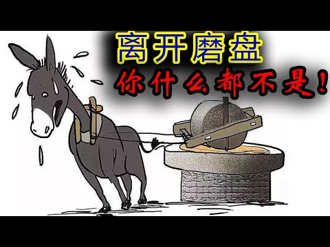 “离开公司，你什么也不是！”这句毒鸡汤，为什么在中国很有市场？为什么说老庄哲学是一种僵尸哲学？解毒中國文化013  中國文化的深層結構  母胎化的傾向