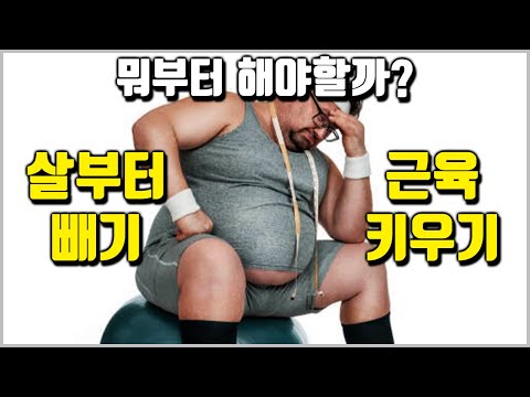 살 먼저 빼고 헬스를 해야할까?