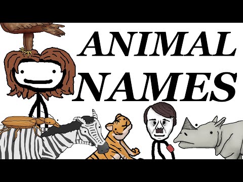 Where Animals' Scientific Names Come From