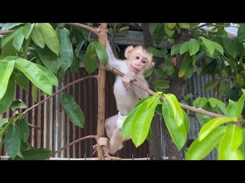 Cute little baby boy to playing outside look is very cute