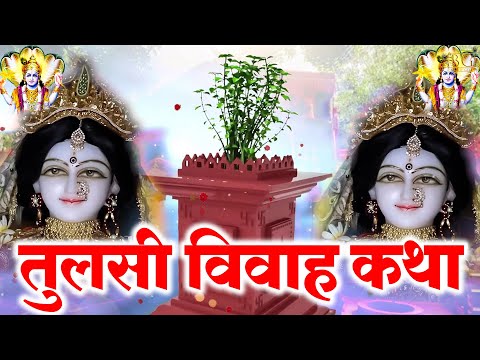 तुलसी विवाह की कथा Tulsi vivah ki katha | Tulsi vivah ki kahani | Devuthani Ekadashi 2024