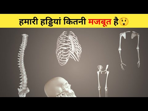 हमारी हड्डिया कितनी मजबूत है😲 | #shorts #bones #ytshort