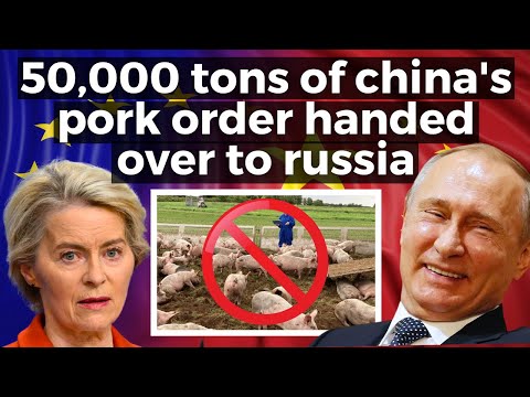 Russia Just Replaced the EU in China's Pork Market – $3.5 Billion Market Shaking Europe’s Confidence