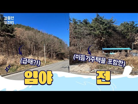 [강릉 모전리 토지 매매] 농림지역 임야와 무허가주택이 1채 있는 계획관리지역 전 한필지