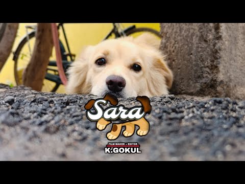 SARA  Dog Tamil Short Film