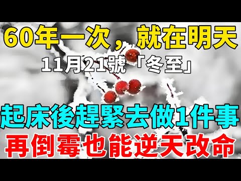 60年一次，就在明天！11月21號「冬至」，起床後趕緊去做1件事，再倒霉也能逆天改命！【禪意】#生肖 #運勢 #風水 #財運#命理#佛教 #人生感悟