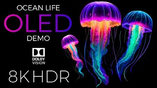 Ocean Life OLED Demo HDR 8K Ultra HD Dolby Vision™ 60fps