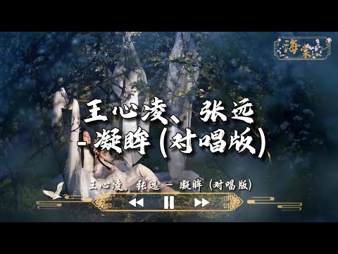 王心凌、张远 - 凝眸 (对唱版)『今生吻过你眉目，是我的救赎。』【动态歌词MV】