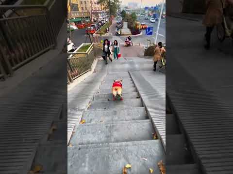 A skateboard Corgi.  #smartdogs  #corgi