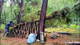 Building a cozy little shelter under the tree - Rainy weather - Potato pizza - Bushcraft trip - Asmr