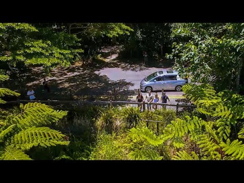 Queensland Road Trips - One Day Self Drive Trips from Cairns & Port Douglas