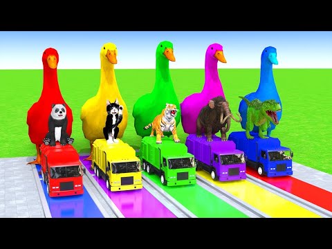 5 Giant Duck Cartoon_Cow_Elephant_Tiger_Lion_Dinosaur_Paint Wild Animals Crossing Fountain Animation