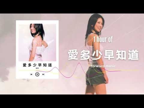 Melody 殷悅【愛多少早知道】1 Hour Loop Music ♾️一小時循環播放♾️