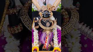 Sri radhe Radhe Krishna ji 🙏🙏#vrindavan #shotsvideo #hindugoddess #viralvideo #religion