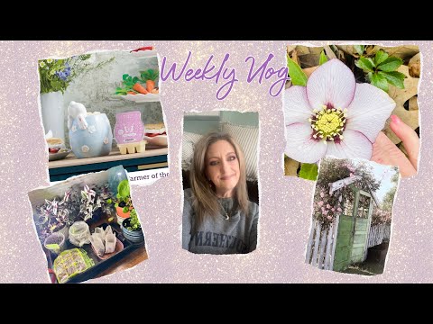 Weekly vlog, scentsy, garden chores and more!