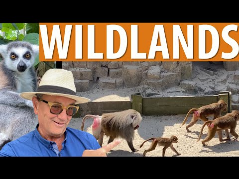 Wildlands Zoo Emmen Netherlands