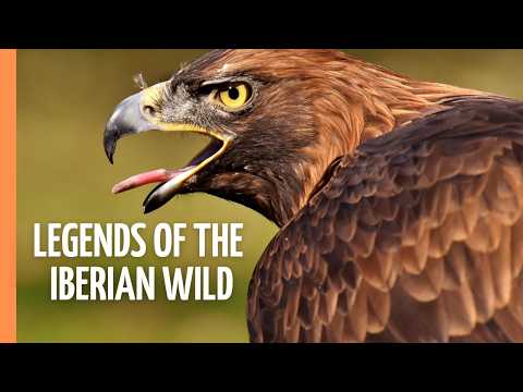 Icons of the Iberian Wilderness: Nature Meets Myth | Full Episode