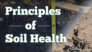 Learn About Principles of #soilhealth in #kansas. Benefits of #covercrops, promote #biodiversity.