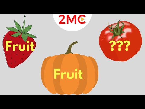 Is it a Fruit or a Vegetable? | Fruits vs Veggies