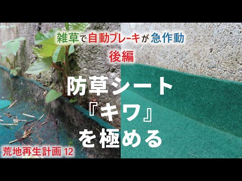 【Weed control sequel】Weeds cause the car's automatic brakes to work. ［How to lay a weed-proof sheet］