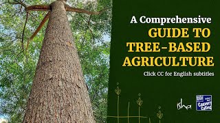 Cauvery Calling provides a Comprehensive Guide to tree-based agriculture #farmers