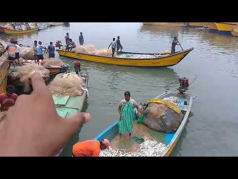 Visakhapatnam Port Tour | Visakhapatnam Fishing Point | विशाखापत्तनम बंदरगाह | import Export Al Info