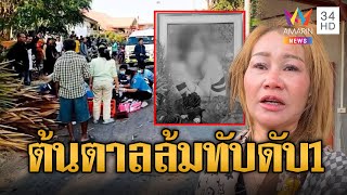 ลมกระโชกแรง! พัดต้นตาล 100 ปีล้ม ทับคนดับ 1 สาหัส 1 | ข่าวอรุณอมรินทร์ | 14/1/68