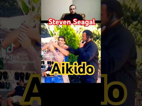 Steven Seagal Aikido master amazing skills martial arts hapkido jiujitsu judo Kung Fu wushu karate