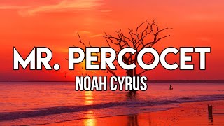 Noah Cyrus - Mr. Percocet (Lyrics) | You are overly sensitive so I won't say much