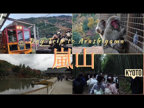 [Kyoto] 京都嵐山一日遊 Arashiyama day trip 猴子公園 monkey park 嵐山小火車 Sagano Romantic Train