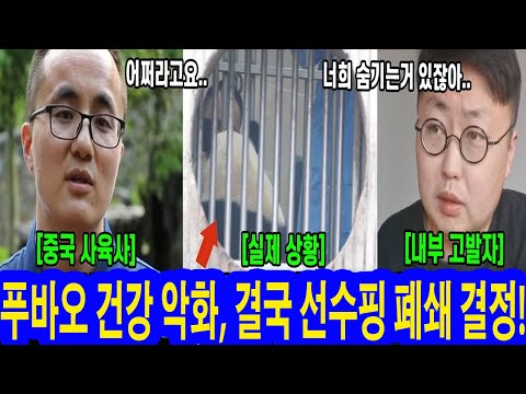 푸바오 건강 악화, 결국 선수핑 폐쇄 결정! 푸바오 아프자마자 폐쇄 결정한 충격 이유 푸바오의 마지막 모습 실제영상포함