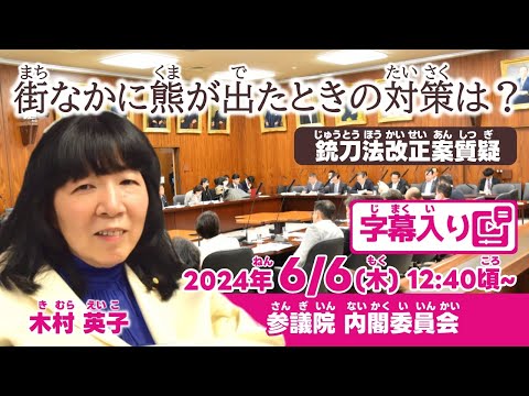 木村英子【街なかに熊が出たときの対策は？】 2024.6.6 内閣委員会 字幕入りフル