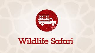 Wildlife Safari