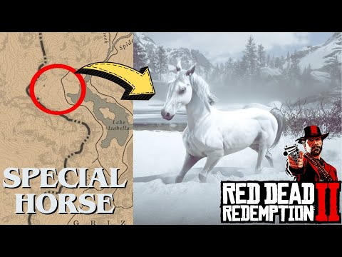 I Found Rare Arabian Horse Here in RDR2 - Best Ever!