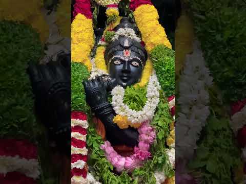 Banagiri Sri Krishna 🙏🏻🙏🏻🙏🏻