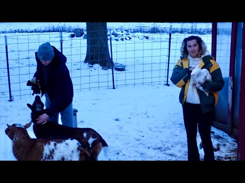 Goats, Chickens, and Ice Skating..(a fun trip home)