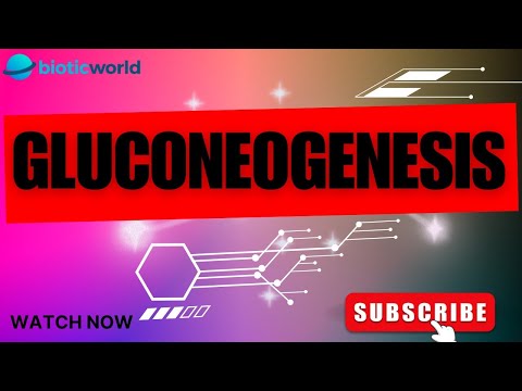 Understanding Gluconeogenesis: Pathway, Regulation, and Clinical Significance / Biotic world