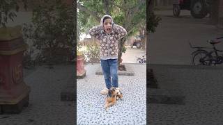 Laddu kahan gayab ho gaya #funny #comedy #viralchallenge #trending #shorts #shortvideo #trending