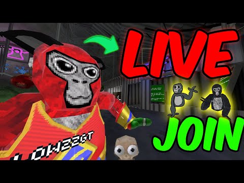 🔴 GORILLA TAG UPDATE✨PLAYING WITH VIEWERS✨SCIENCE UPDATE | LIVE👍