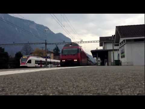 SBB Re 460 mit Makro in Villeneuve