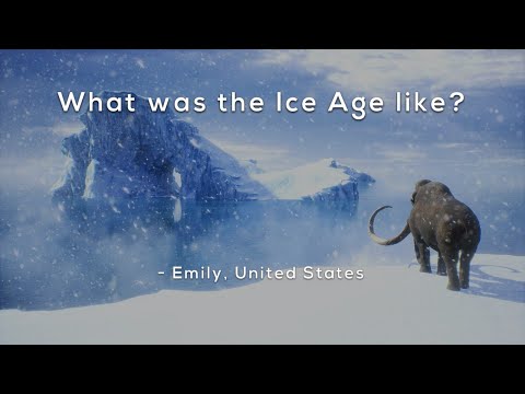 What was the Ice Age like?