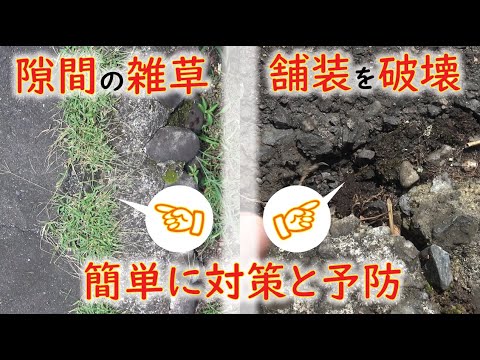 【garden diy】Weed control that destroys pavement.How to protect the pavement.