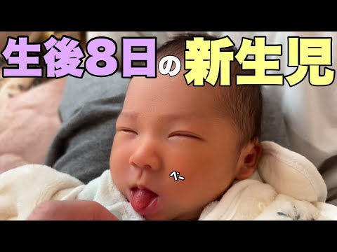 【生後8日の新生児】里帰り２日目の赤ちゃんに密着、新生児微笑やら原始反射が可愛すぎる！！