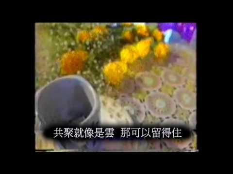 懷舊區 周美茵 兩心知 黑膠版 1988