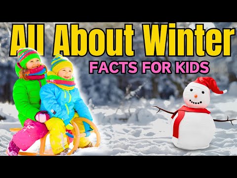 All About Winter! Snow, Winter & Glaciers (Facts for Kids)