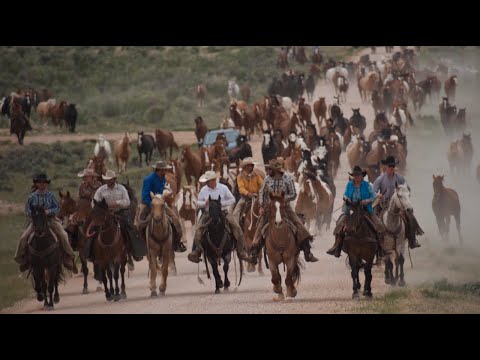 TV worth watching!  The Great American Horse Drive!  A full episode of TWW!!