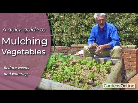 Mulching Vegetables