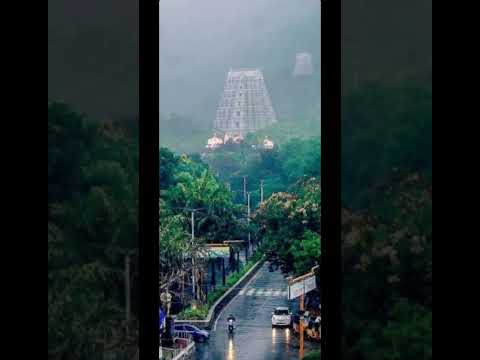 Venkateswara Swamy Govinda Tirumala Tirupati Devasthanams TTD #ytshorts #tirupati #ttd #viral #short