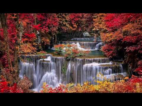 🔴 24/7 Live, Relaxing Music,  Meditation Music, Spa Music, Sleep, Zen, Study Music Water Fall Sound